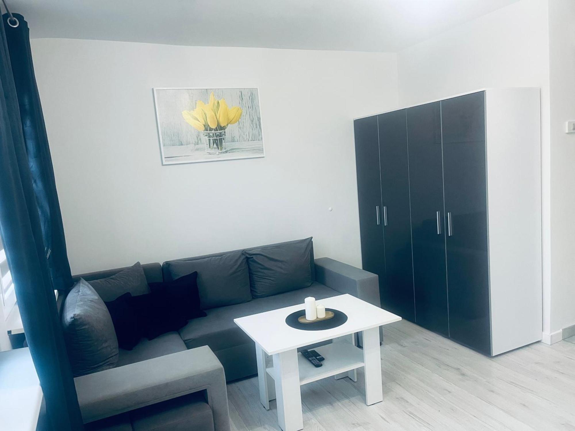 Silver Apartament Катовице Экстерьер фото